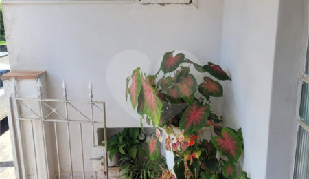 Casa à venda com 5 quartos em Jardim São Carlos, São Carlos, SP