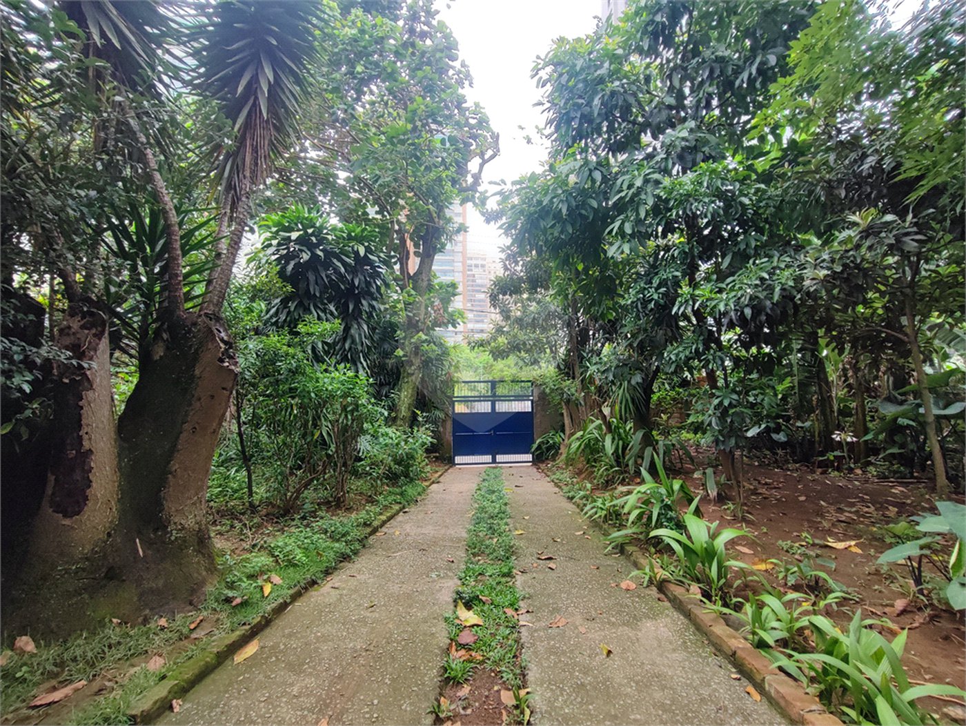 Terreno para venda no Campo Belo