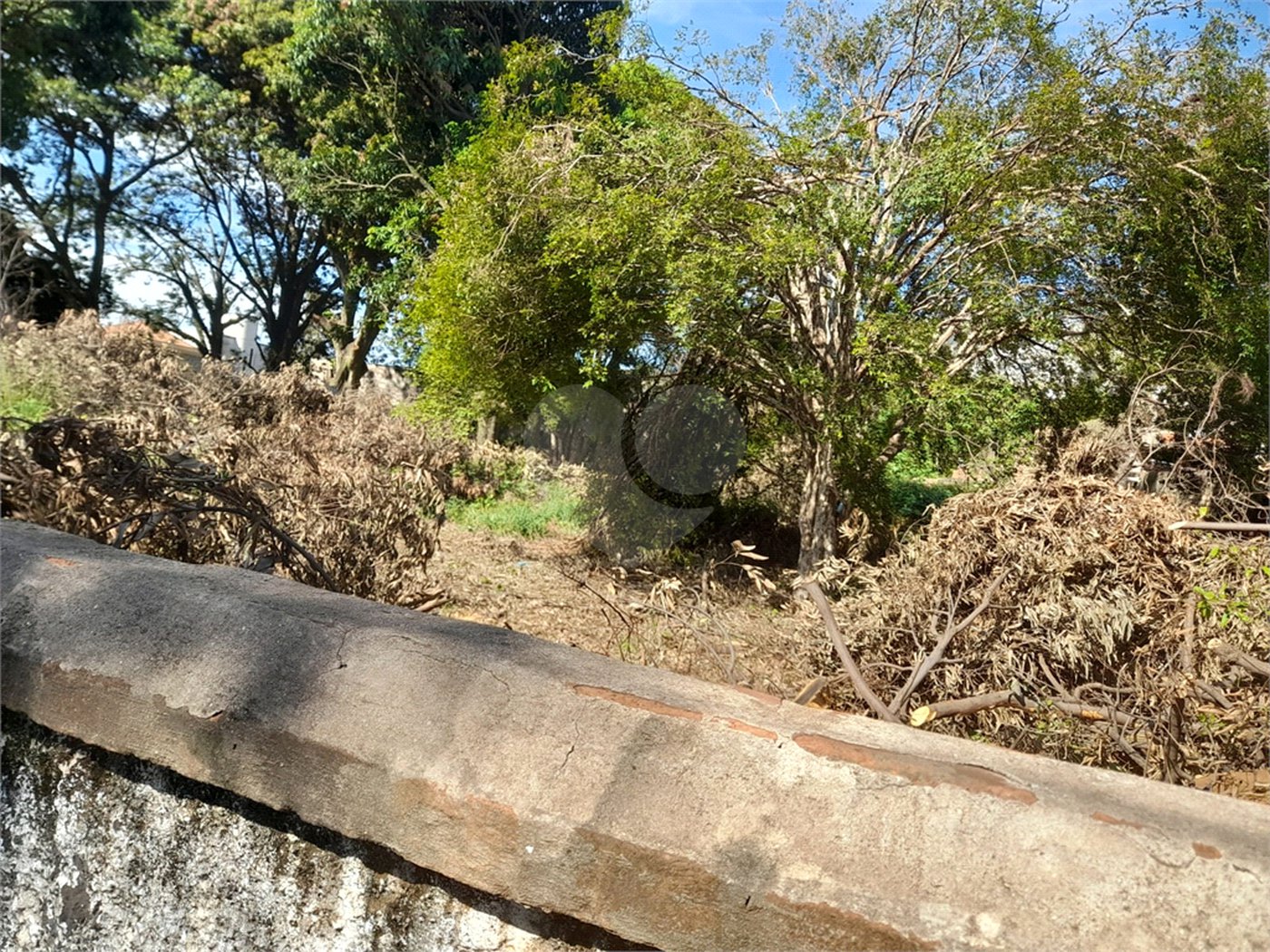 Terreno Comercial à Venda na Av. Teixeira de Barros – Rua Larga