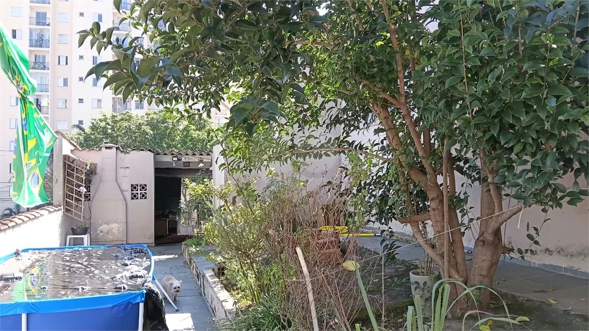 Ótimo Terreno, Jabaquara . 330m² Com construção. Próximo a tudo!!!!