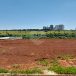 Terreno à Venda no Bairro Salto do Monjolinho – Excelente Oportunidade!