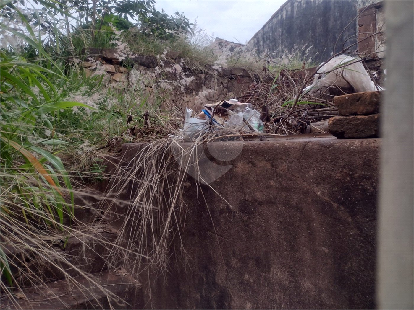 Terreno com 421 m², localizado no centro de São Carlos