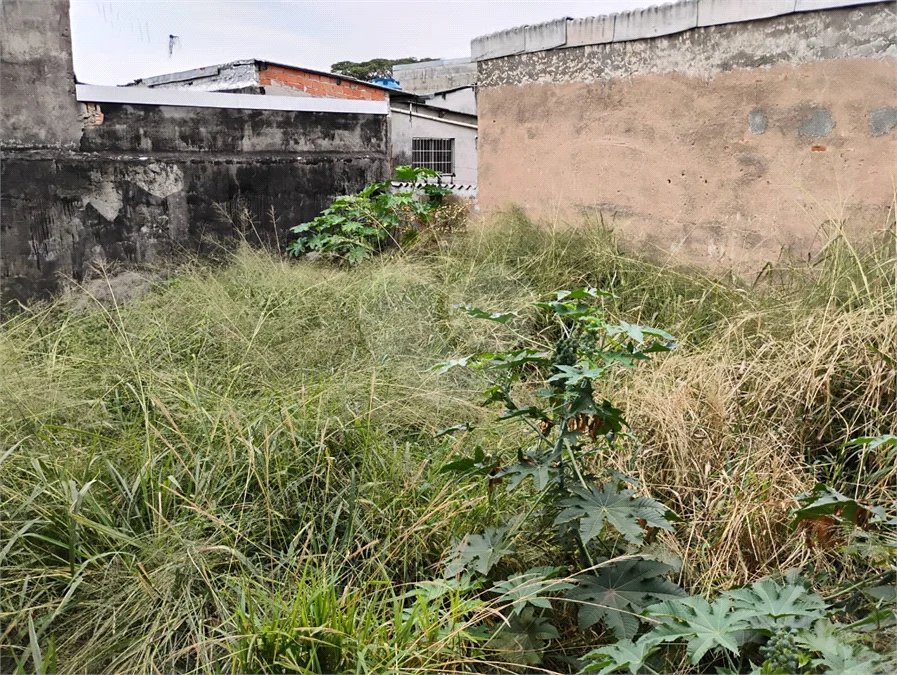 Terreno à venda na Vila Santa Catarina