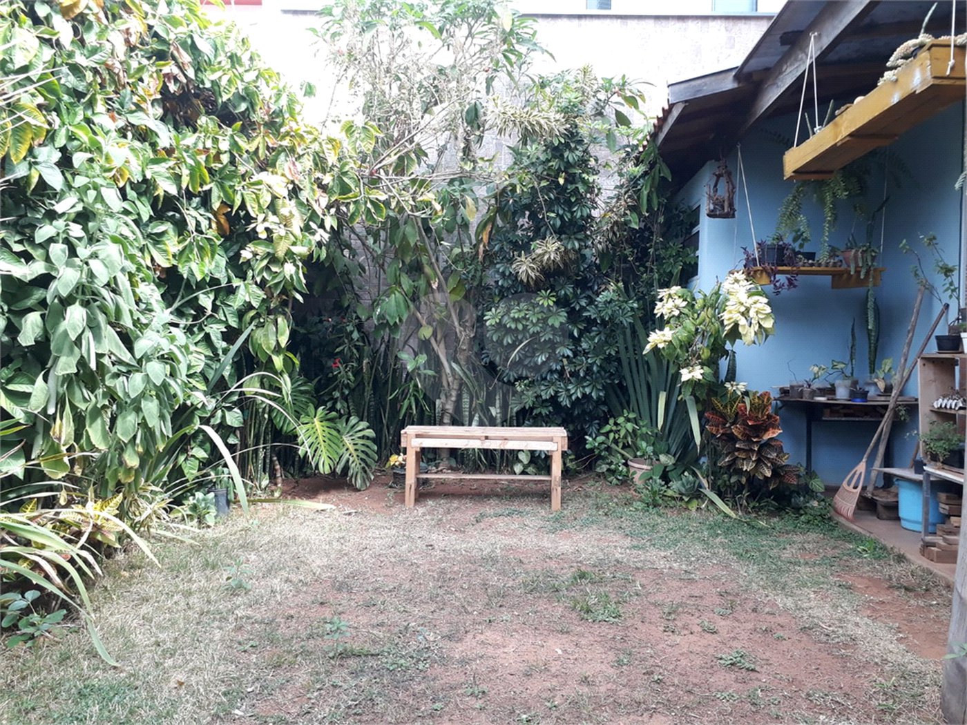 Sobrado com quintal amplo e arborizado a venda