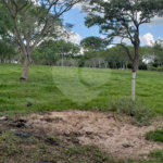 Sitio para venda.