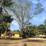 Chácara dos Sonhos à Venda – São Carlos/SP – Recreio Campestre