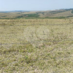 Excelente Sítio à Venda em Monte Mor – SP