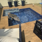 Casa Damha I, com 3 quartos e piscina privativa.