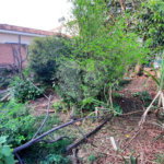 Terreno no Jardim Beatriz.