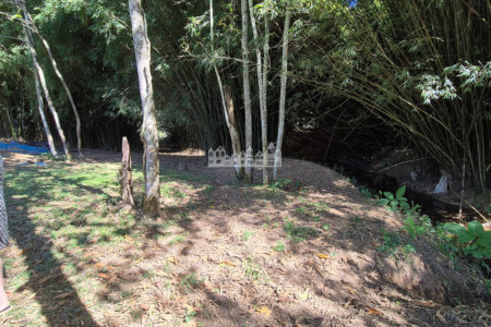 Sítio à venda com 7 alqueires, em Serra do Capetinga, Itapeva - MG