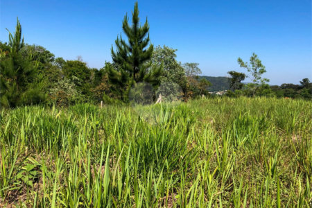 Terreno à venda, 2700 m² - Cambará - São Roque/SP