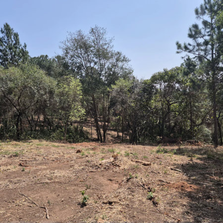 Fazenda Elisa - Fase 3