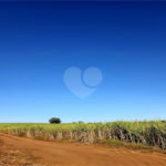 Fazenda em Ribeirão Bonito
