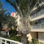 APARTAMENTO 2 QUARTOS COM SUÍTE 1 VAGA À VENDA VILA DA SAÚDE VENDER