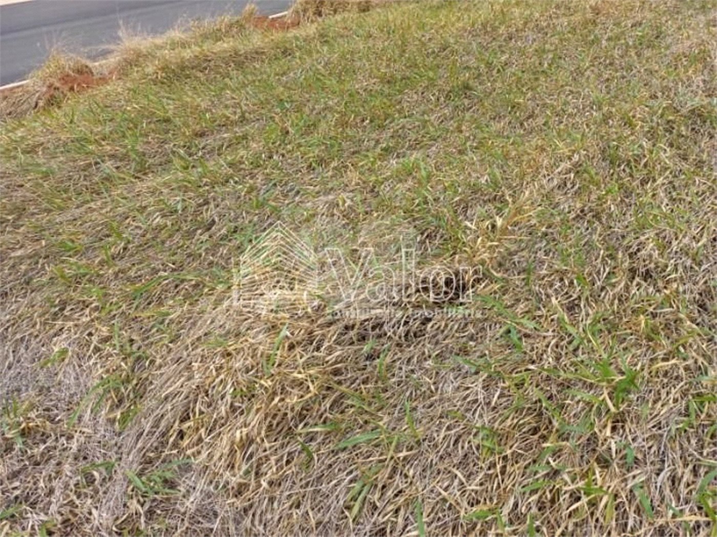 Terreno plano no Condomínio Villeneuve, com 250,00 m² de área total.