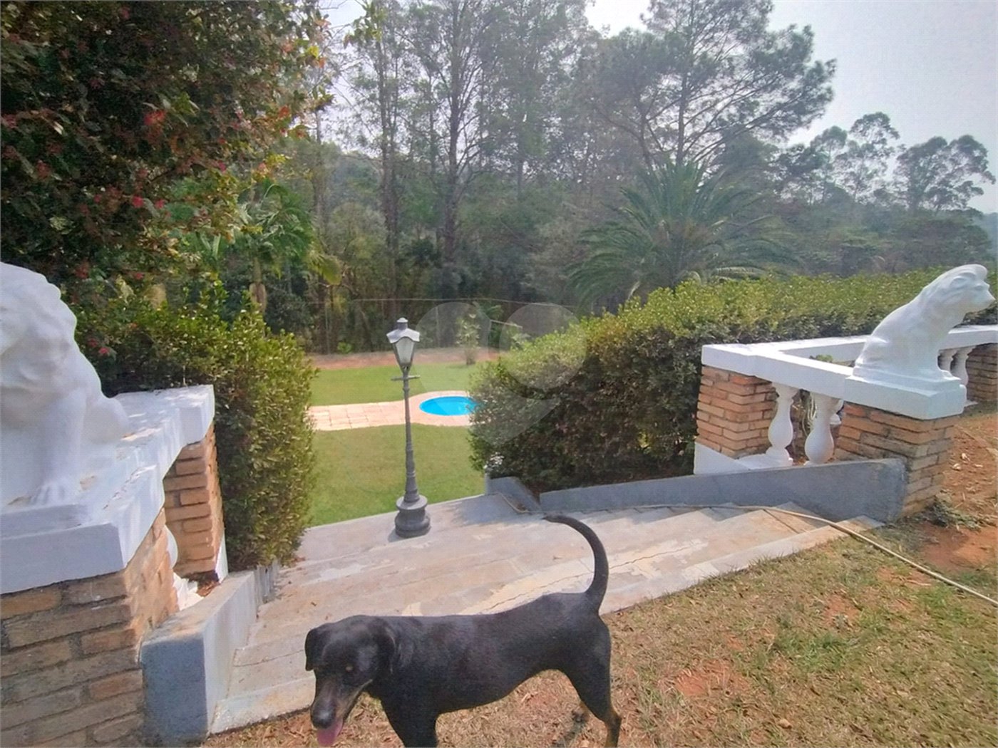Sítio à venda, 504m² - Ponte Alta Atibaia 48mil² Ref: 1013670