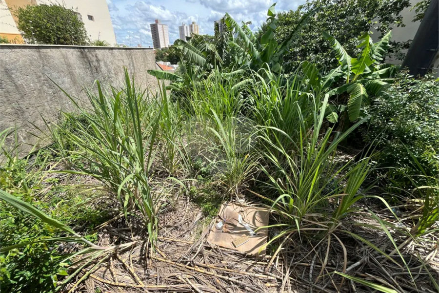 Terreno com vocação variada na Vila Monteiro em Piracicaba