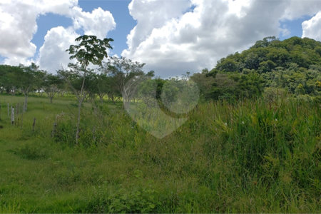 Sitio para venda.