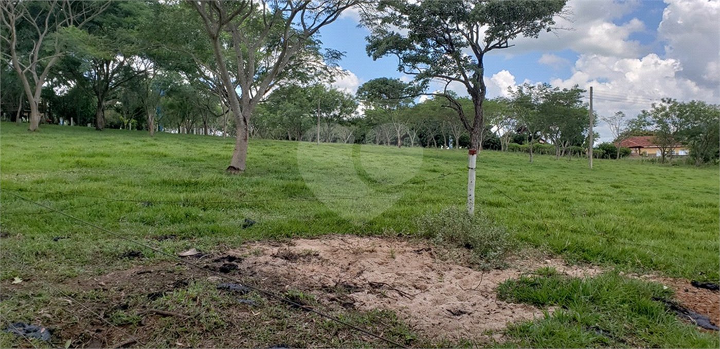 Sitio para venda.