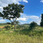 Terreno à venda em Arataba II, Louveira, SP