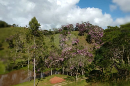 Sítio à Venda Natividade da Serra c/ 2.291,56m² Area Const. e 271.000,00m² Área Total