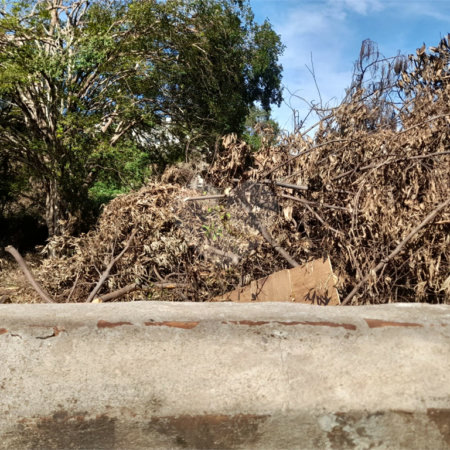 Terreno Comercial à Venda na Av. Teixeira de Barros – Rua Larga