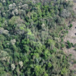 FAZENDA FORTALEZA, Caldas - MG