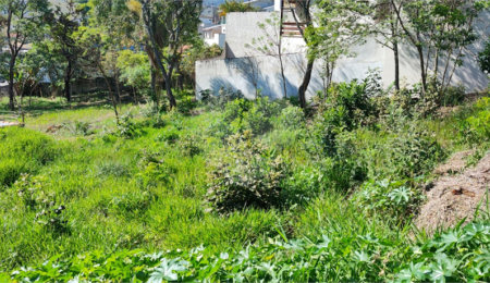 Terreno à venda em Jardim Paulista, Atibaia, SP