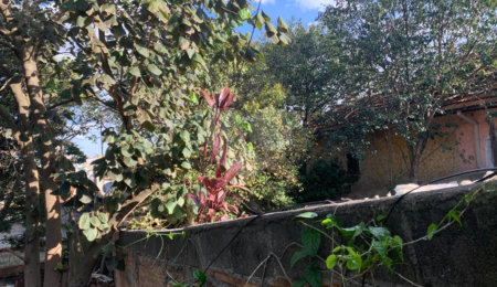 Terreno à venda com 2 quartos em Vila Nivi, São Paulo, SP