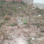 Lote no Jardim do Bosque, aceita financiamento ou aquisição de terreno e construção .