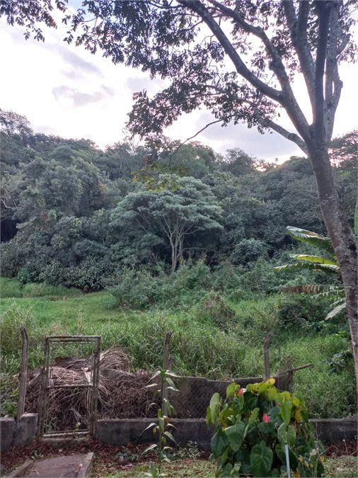 Apartamento para alugar com 2 quartos em Jardim da Glória, Cotia - SP