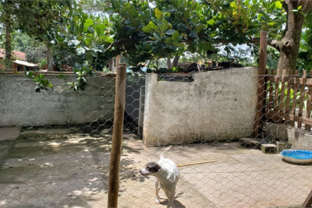 Sitio para venda.