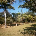 Chácara para venda no Aracê de Santo Antonio I
