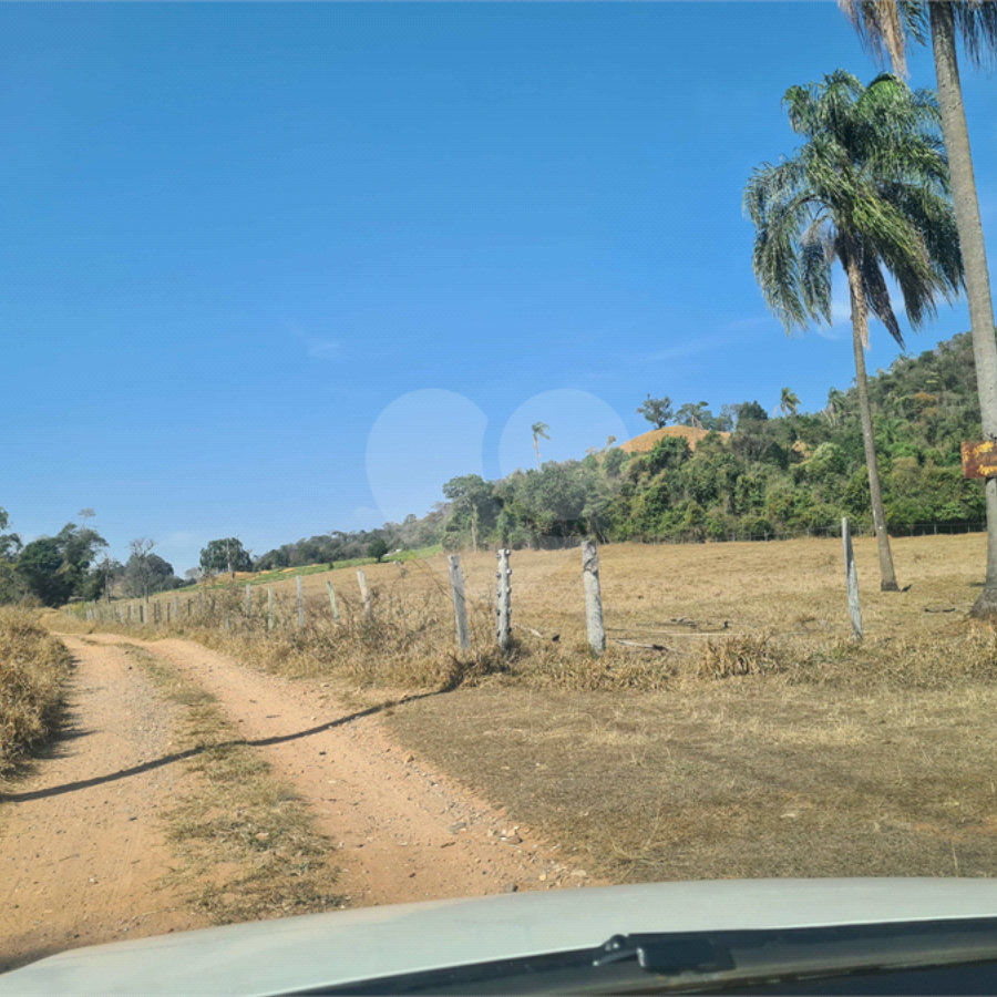 VENDA SÍTIO 48 hectares com estruura para granja, hidroponia e gado