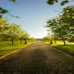 O Reserva Itanhangá nasce com um paisagismo exuberante e já formado, onde o replantio manterá a sensação, a paisagem e a estética que a propriedade proporciona atualmente. O empreendimento está em uma ótima localização, com acesso através de uma ampla avenida, junto ao Helvetia e seus campos de polo