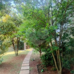 APARTAMENTO GARDEN 105 M2 COM 2 DORMITÓRIOS 1 SUÍTE E 2 VAGAS NO JARDIM DA GLÓRIA