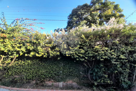 Casa de Alto Padrão à Venda e Locação no Parque Santa Mônica - São Carlos