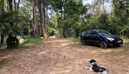 Sítio à venda com 6 quartos, sendo 1 suíte,  no Centro, Analândia, SP
