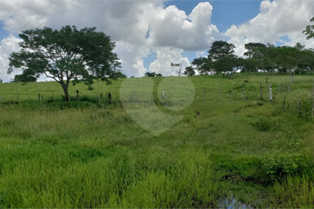 Sitio para venda.