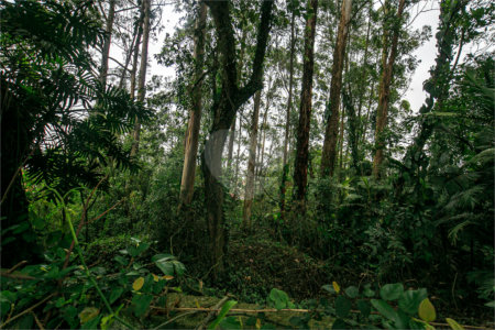 Terreno à venda em Morumbi, São Paulo, SP