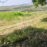 Excelente Sítio à Venda em Monte Mor – SP
