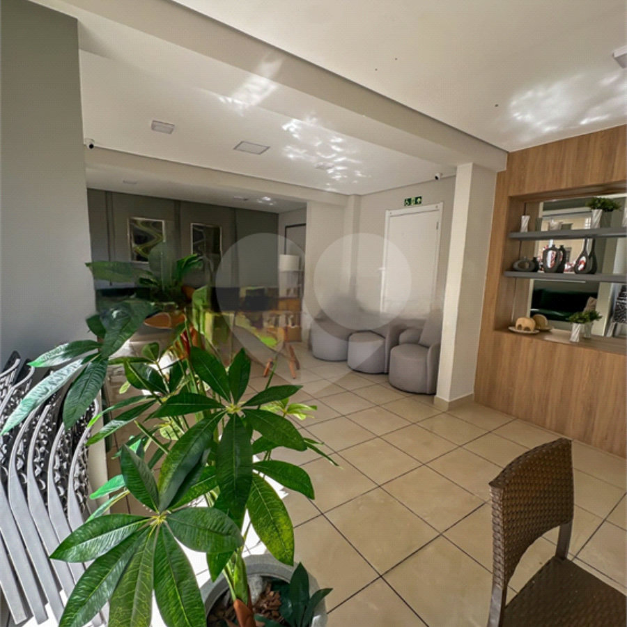 Apartamento Brás 1 suíte e 25m² - Próximo a estação