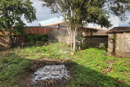 Casa térrea na Vila Monteiro