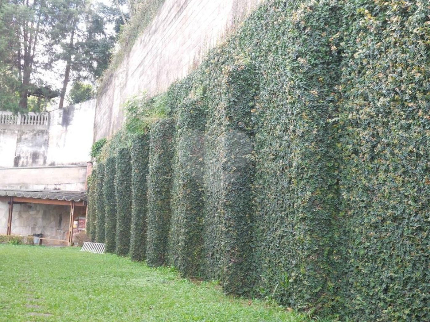 JARDIM FRANÇA MARAVILHOSA RESIDENCIA térrea à venda com imenso espaço verde!!