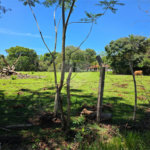3021 m² de área para construção de chácara.