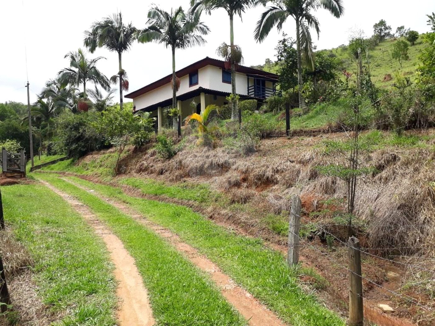 SITIO À VENDO NA ZONA NORTE, 65 MIL M², CASA COM 4 DORMITORIOS, 2 BANHEIROS