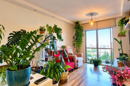 Apartamento com 72 m² Reformado à Venda com 2 quartos em Butantã, São Paulo - SP