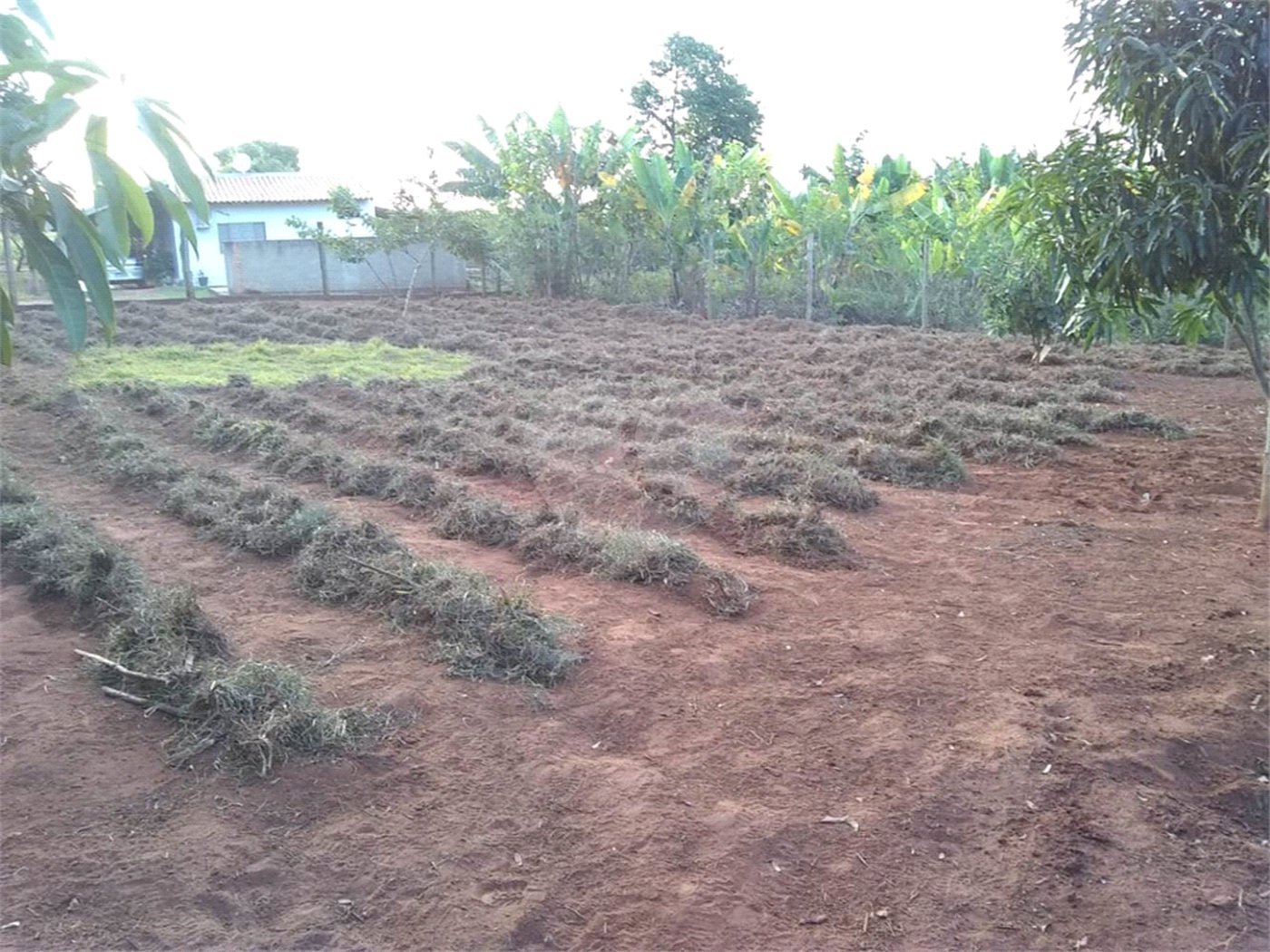 Chácara em Araraquara/SP.