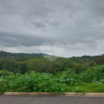 TERRENO A VENDA EM ATIBAIA - CONDOMINIO ELEMENTUM