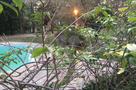 Apartamento reformado de 511m2 à venda com 4 suítes e 3 vagas no Morumbi